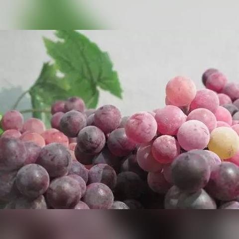 【哈尔滨今日招聘信息】2025年5月15日哈尔滨有哪些招聘信息