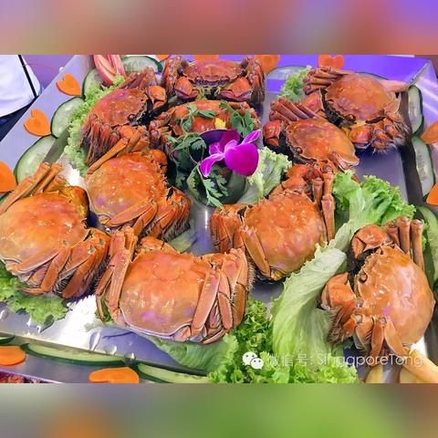 武汉直飞新加坡旅游的长尾关键词有什么