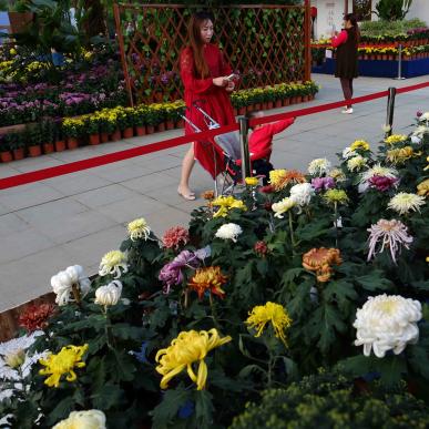 南通口碑好绿化养护报价相关长尾关键词有哪些