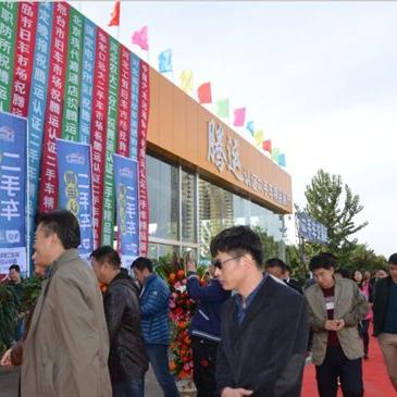 保定市所有驾校有哪些