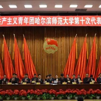 哈尔滨市二院四维多少钱