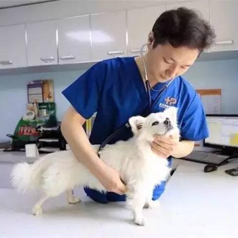 武汉科技大学青山校区设有哪些专业？