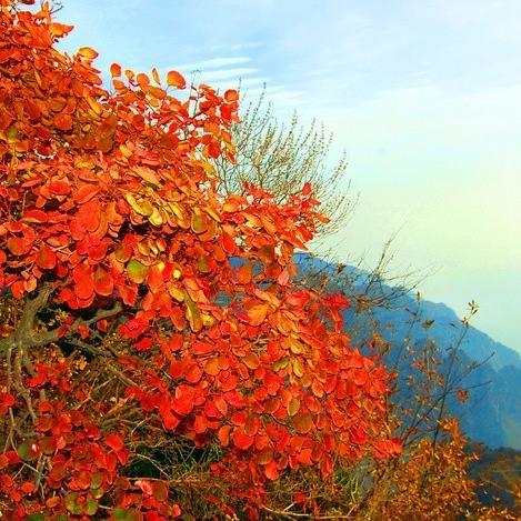 河南沁阳在哪个方位