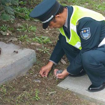 临沂市郯城县轮胎哪里全