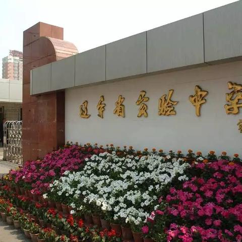 沈阳市哪个区是第三大区