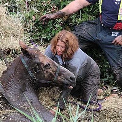 江西怎么到沈阳市高铁