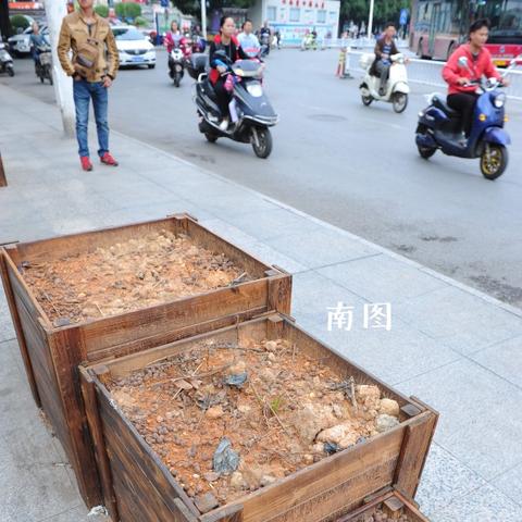 植物路南宁的相关长尾关键词有哪些