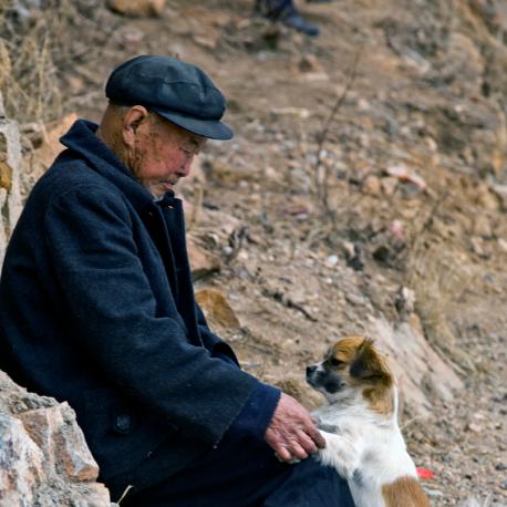 老梁讲生肖狗的运势(老梁故事汇之12生肖)