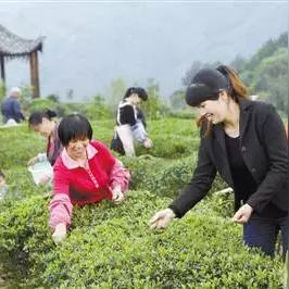 福建长盛投资案件的相关长尾关键词有哪些