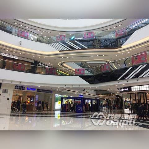 合肥太平鸟专卖店电话相关长尾关键词有哪些