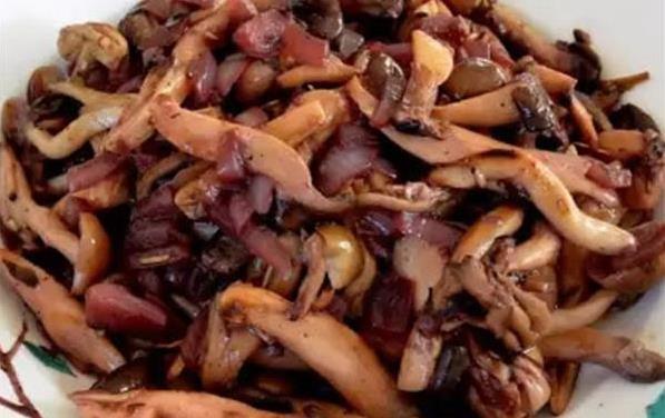 美食制作用什么材料（煲汤用什么材料好）
