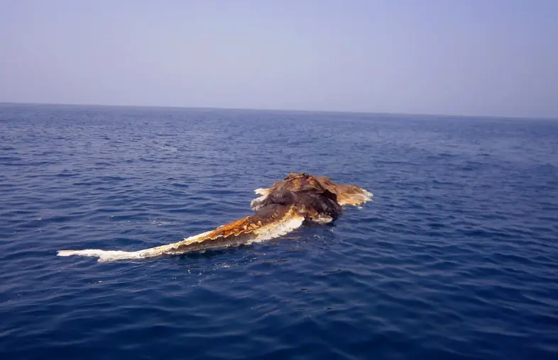 大公司为什么搞社群 大公司老板如何变现金