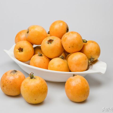 福建哪个季节吃枇杷