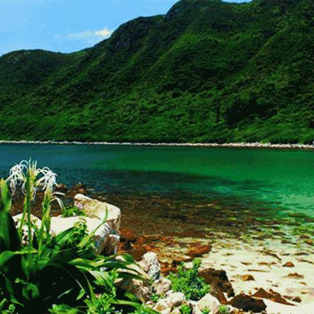 深圳的天气情况怎么样