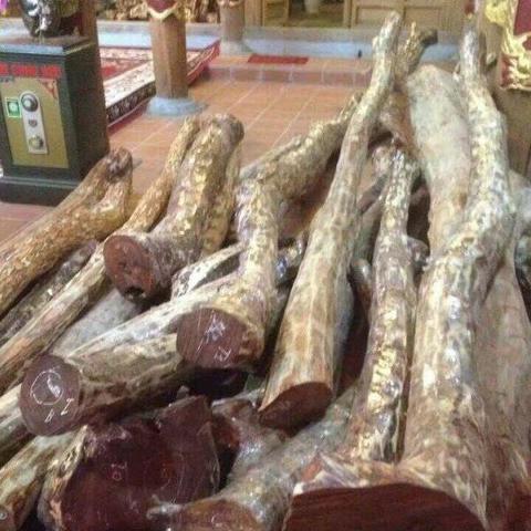 福建立方建设有限公司的相关长尾关键词有哪些