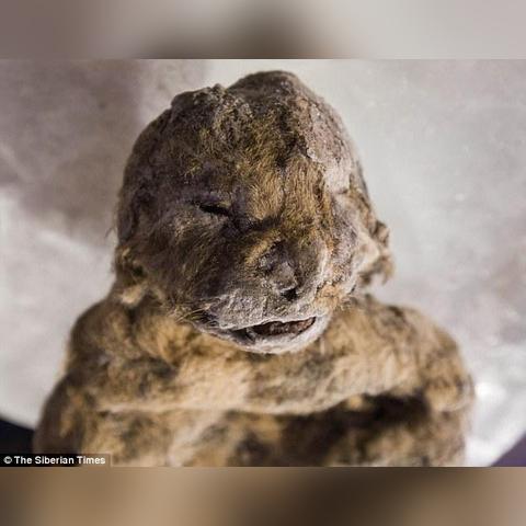 兰州基因克隆公司的相关长尾关键词有哪些