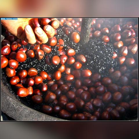 石家庄市哪里能炒栗子