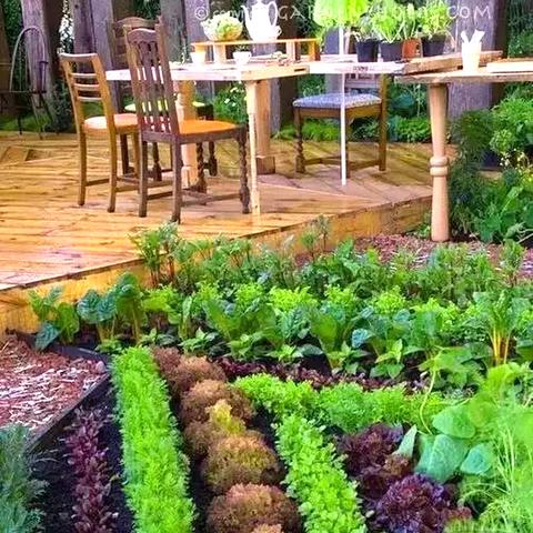 成都市区内的花园在哪里