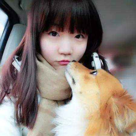 武汉市允许养什么养的狗