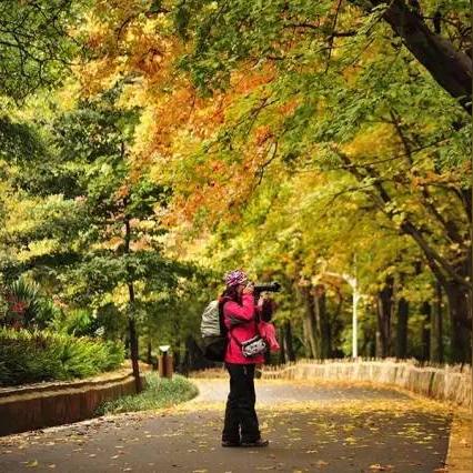 2025.12.29昆明今日气温变化情况