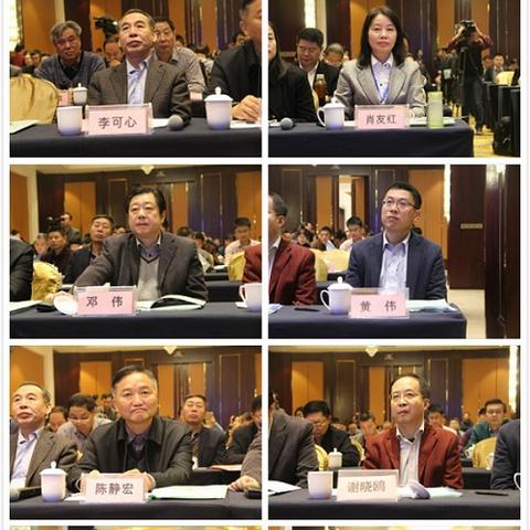 合肥市火车总站在哪个区