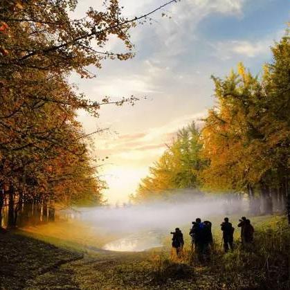 临沂市哪里有垃圾