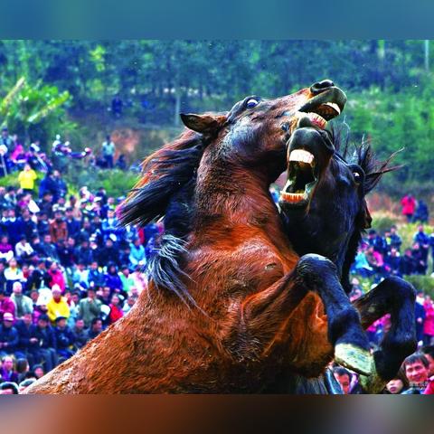 桂林刺绣画相关长尾关键词有哪些