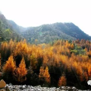 重庆奉节醉美龙池天气预报的长尾关键词有什么