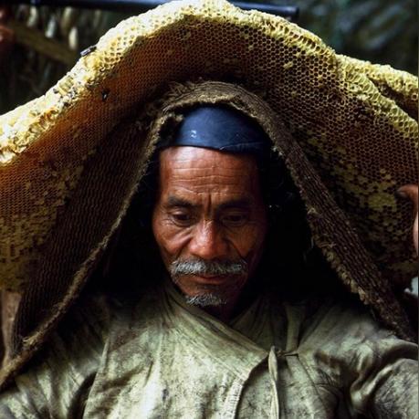 重庆金蜜蜂装饰怎么样