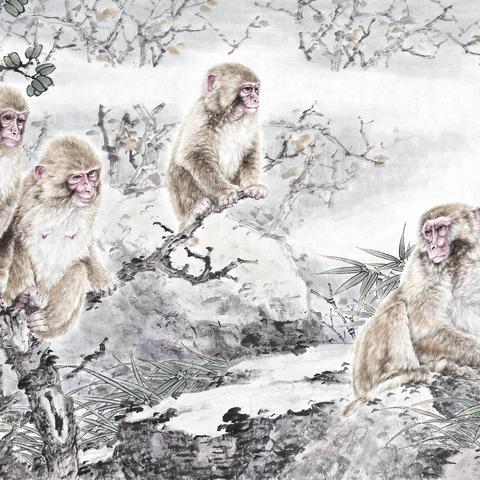 猴子上马走生肖运势好吗(猴子骑在马背上是什么生肖)