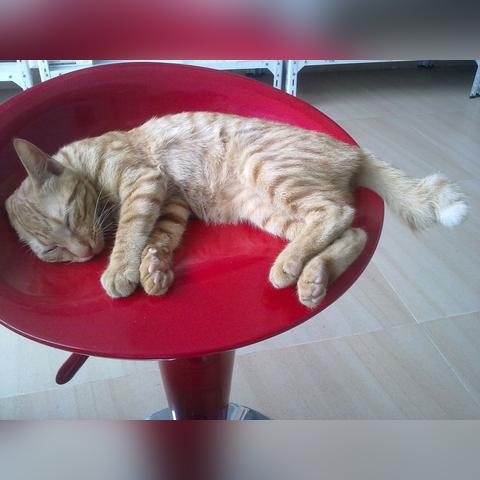 深圳室内馆相关长尾关键词有哪些