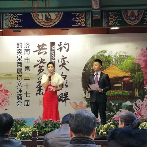 济南市地被菊小苗多少钱