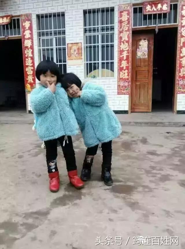 1000朵玫瑰批发多少钱