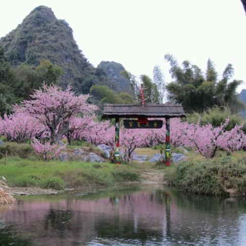 桂林市哪里有道教