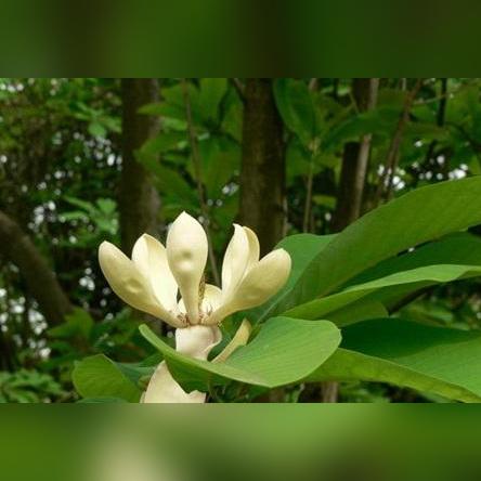 温州市是属于广西哪个市