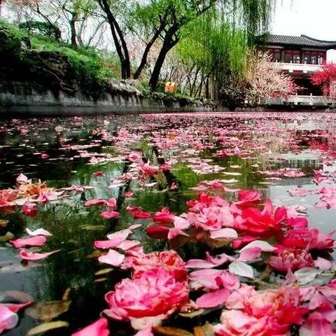 寒雨连江夜送别时间？