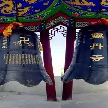 兰州玉兰花什么时候开？