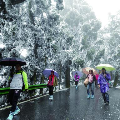 南岳雾凇要什么天气