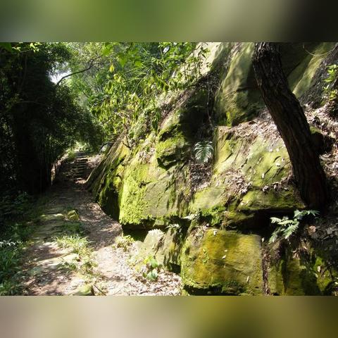 北碚区红桂林房价相关长尾关键词有哪些