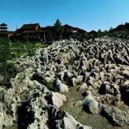 重庆哪个区县有猴子村