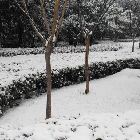 违反西安市限行怎么罚款