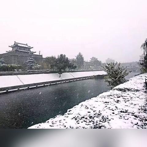 西安市限行被拍怎么办