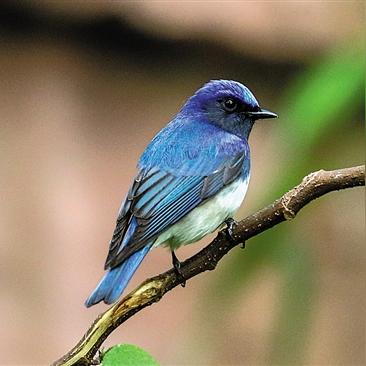 广州市有多少中转站