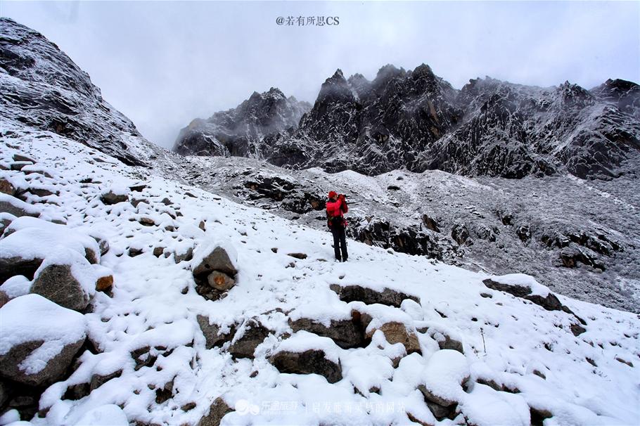 梦境迷雾，解析最近老是梦到很多蛇的深层含义
