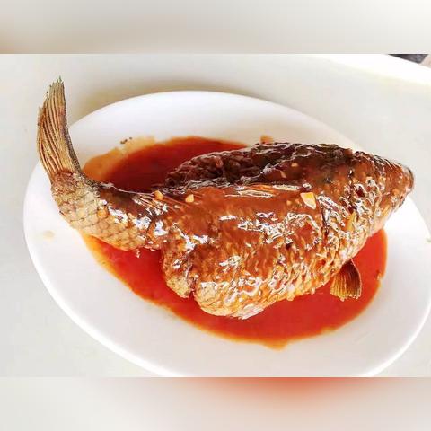 天津蹦鲤鱼怎么样