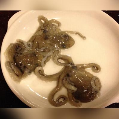 福建烤老鼠做法？