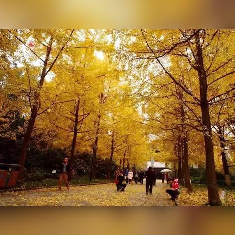 成都市最后一站是哪里啊