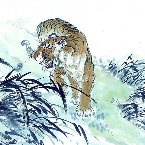 十二生肖冬眠的动物.十二生肖冬眠的生肖？