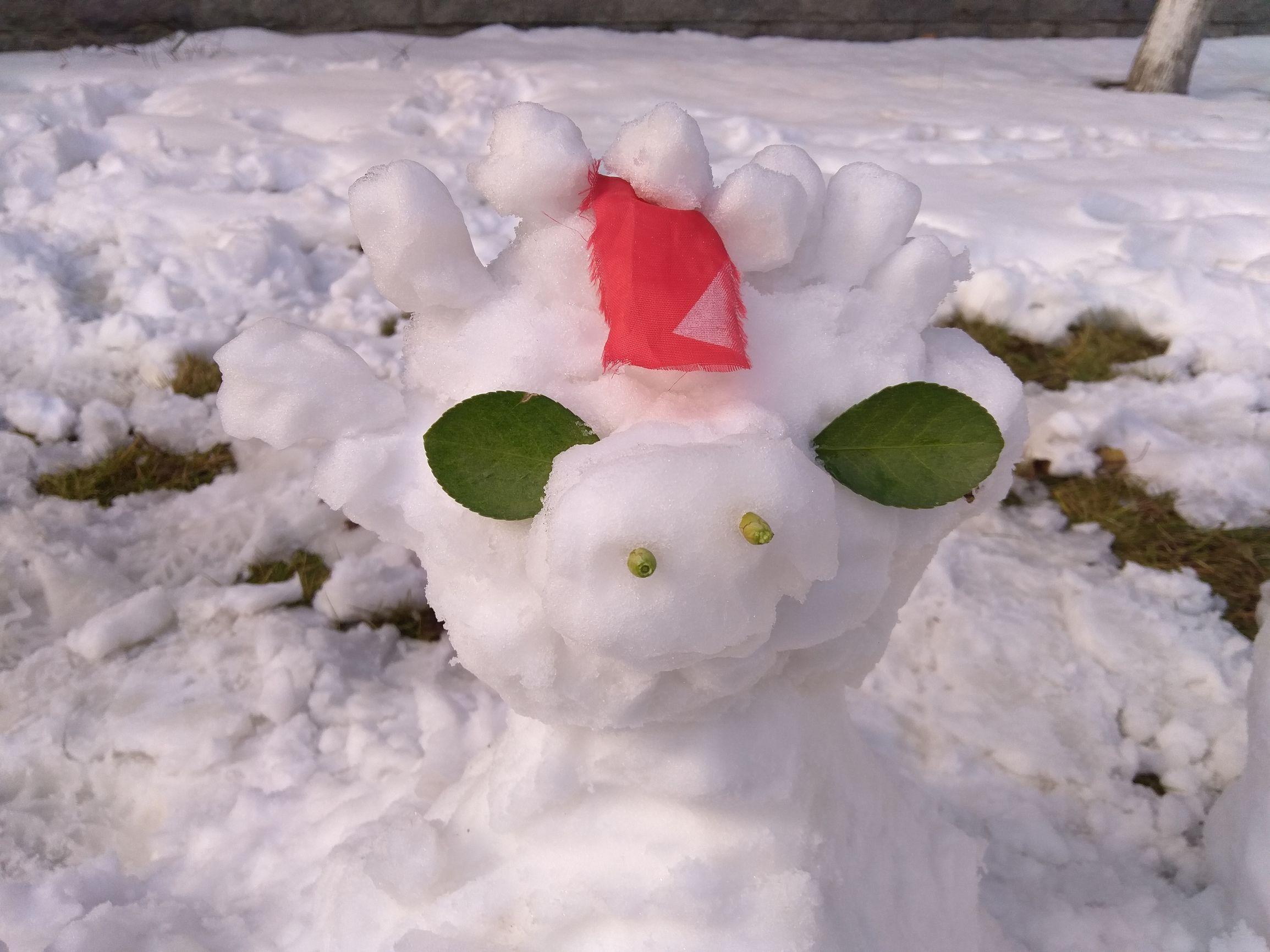 超越猪王雪王，80后王宁登顶河南新首富