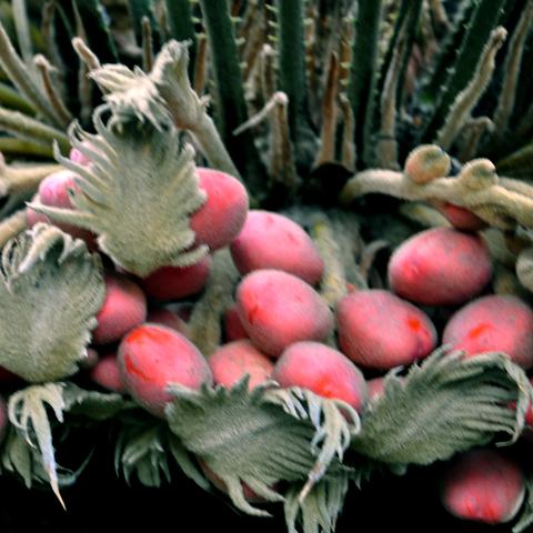 贵州和福建哪个冷